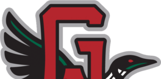 Great Lakes Loons