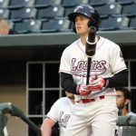 great_lakes_loons