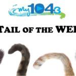 Tail of the Week 2017 Logo (10-5-17)